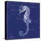 Blueprint Seahorse-Piper Ballantyne-Stretched Canvas