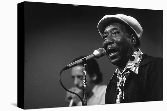 Bluesman Muddy Waters (1915-1983) on Stage in 1982-null-Stretched Canvas