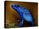 Bluetiful-Ben Heine-Premier Image Canvas