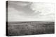 Bluff View BW-Dana Styber-Premier Image Canvas