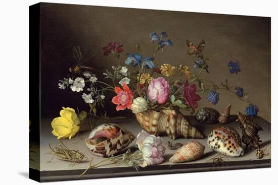 Blumen, Muscheln und Insekten auf einem Steingesims-Balthasar van der Ast-Premier Image Canvas