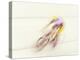 Blured Action of Cyclist Competing on the Velodrome-Chris Trotman-Premier Image Canvas