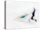 Blurred Action of Pairs Figure Skaters, Torino, Italy-Chris Trotman-Premier Image Canvas