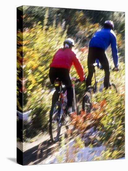 Blurred Action of Recreational Mountain Biker Riding on the Trails-null-Premier Image Canvas