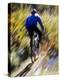 Blurred Action of Recreational Mountain Biker Riding on the Trails-null-Premier Image Canvas