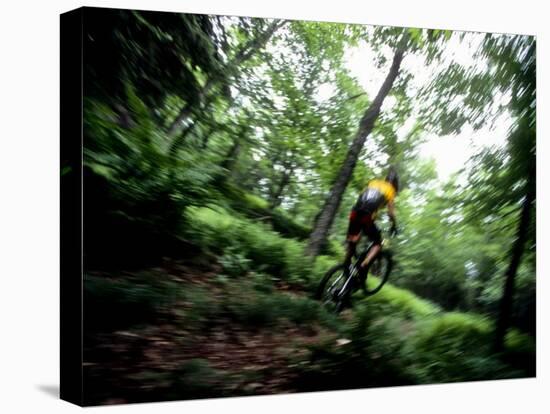 Blurred Action of Recreational Mountain Biker Riding on the Trails-null-Premier Image Canvas