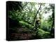 Blurred Action of Recreational Mountain Biker Riding on the Trails-null-Premier Image Canvas