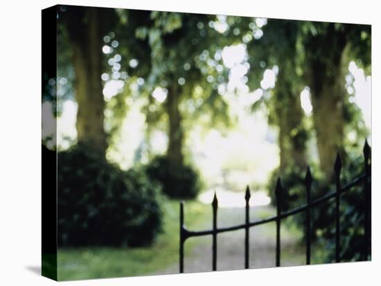 Blurred Image of a Gate and Woodland Path-null-Premier Image Canvas