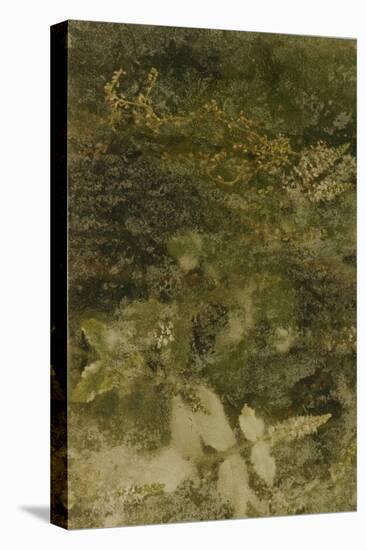 Blurred Image Of Flowers-Fay Godwin-Premier Image Canvas