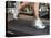 Blurred Image of Legs on a Treadmill-null-Premier Image Canvas