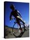 Blurred View of Cyclist-null-Premier Image Canvas