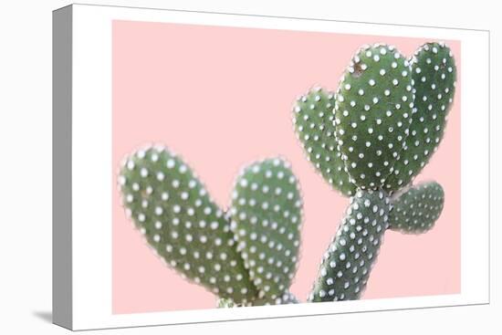 Blush Cactus 1 v2-Kimberly Allen-Stretched Canvas