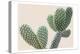 Blush Cactus 1-Kimberly Allen-Stretched Canvas