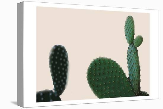 Blush Cactus 2-Kimberly Allen-Stretched Canvas