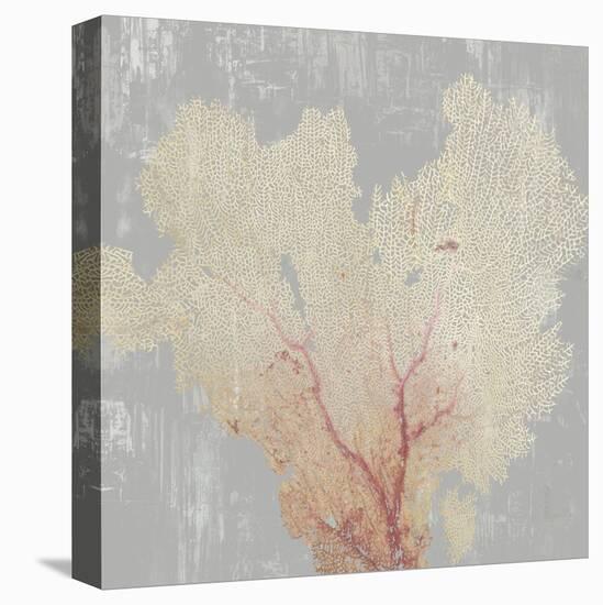 Blush Coral I-Aimee Wilson-Stretched Canvas