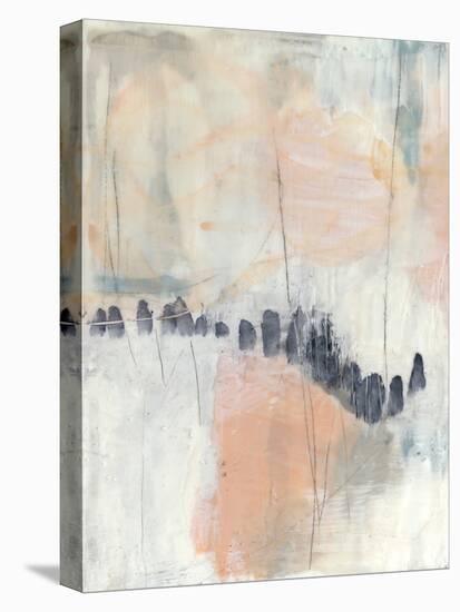 Blush & Navy I-Jennifer Goldberger-Stretched Canvas