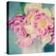 Blushing Blooms I-Sarah Gardner-Stretched Canvas