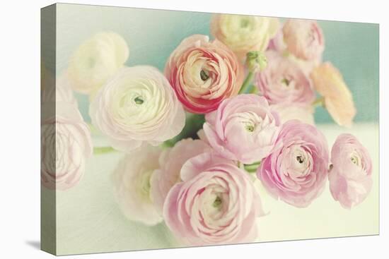 Blushing Blossoms-Sarah Gardner-Stretched Canvas