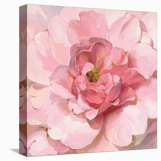 Blushing Peony-Danhui Nai-Stretched Canvas