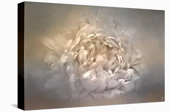 Blushing Silver and Gold Peony-Jai Johnson-Premier Image Canvas