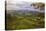 Blustery Afternoon Landscape, Mount Diablo-Vincent James-Premier Image Canvas
