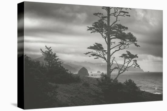 Blustery Morning View From Ecola Point, Oregon Coast-Vincent James-Premier Image Canvas