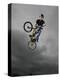 BMX Biker Performing Tricks-null-Premier Image Canvas