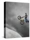 BMX Biker Performing Tricks-null-Premier Image Canvas