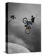 BMX Biker Performing Tricks-null-Premier Image Canvas