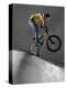 BMX Biker Performing Tricks-null-Premier Image Canvas