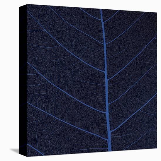 Bo Leaf IV-Andrew Levine-Stretched Canvas