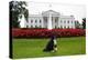 Bo, the Obama Family Dog, on the North Lawn of the White House, Sept. 28, 2012-null-Stretched Canvas