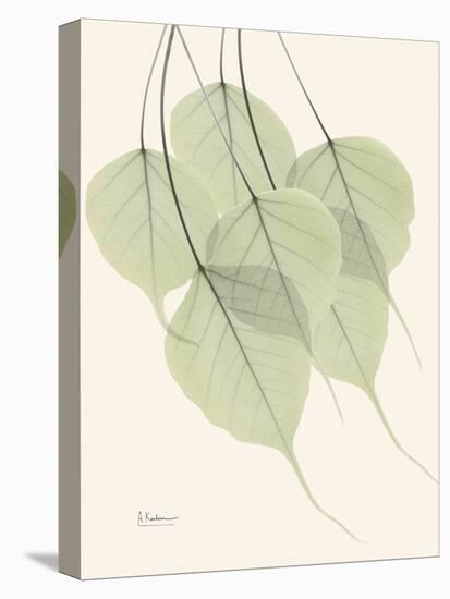 Bo Tree Moment-Albert Koetsier-Stretched Canvas