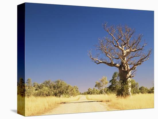 Boab Tree and Gravel Road, Kimberley, Western Australia, Australia, Pacific-Jochen Schlenker-Premier Image Canvas