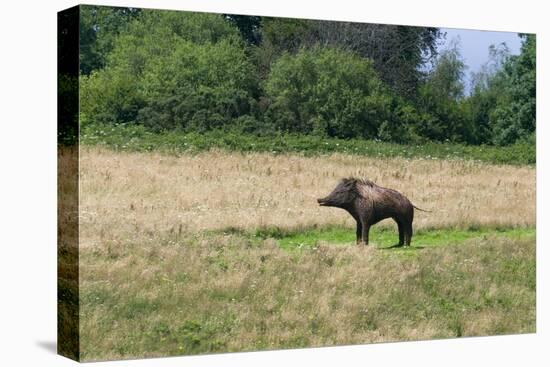 Boar/Hog Willow Sculpture in Meadow-null-Premier Image Canvas