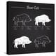 Boar Meat Cut Diagram - Elements Blackboard-ONiONAstudio-Stretched Canvas