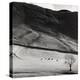 Boardale, Cumbria 1982-Fay Godwin-Premier Image Canvas