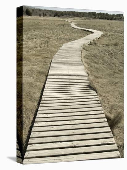 Boardwalk across a Tidal Marsh Leading to a Wooden Area at a Wildlife Sanctuary-John Nordell-Premier Image Canvas