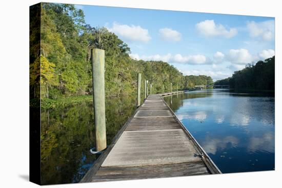 Boardwalk along Wades Creek, near St. Augustine, Florida, United States of America, North America-Ethel Davies-Premier Image Canvas