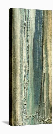 Boardwalk II-Grant Louwagie-Stretched Canvas