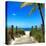 Boardwalk on the Beach - Florida-Philippe Hugonnard-Premier Image Canvas