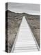 Boardwalk through the desert-David Madison-Premier Image Canvas