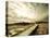 Boardwalk Winding over Sand and Brush-Jan Lakey-Premier Image Canvas