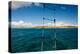 Boat Ladder Leading to the Turquoise Ocean, Culebra Island, Puerto Rico-null-Premier Image Canvas