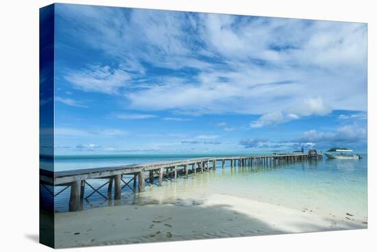 Boat Pier on Carp Island, One of the Rock Islands, Palau, Central Pacific-Michael Runkel-Premier Image Canvas