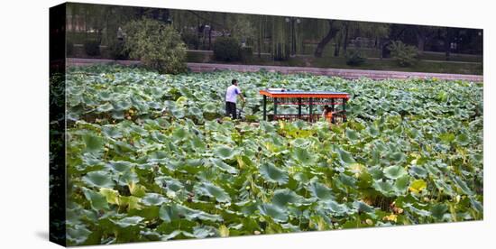 Boat Tourists in Lotus Pond Purple Bamboo Park, Beijing-William Perry-Premier Image Canvas