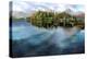 Boathouse, Derwentwater, Cumbria, 2008-Trevor Neal-Premier Image Canvas