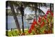 Boathouse View, Hamilton, Bermuda-George Oze-Premier Image Canvas