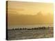 Boats at Sea, French Polynesia-Sylvain Grandadam-Premier Image Canvas