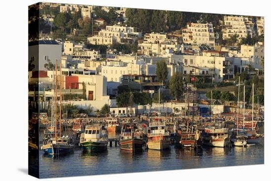 Boats in Bodrum, Turkey, Anatolia, Asia Minor, Eurasia-Richard-Premier Image Canvas